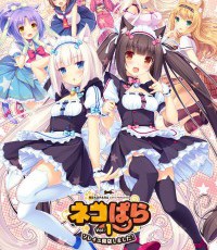 巧克力与香子兰1