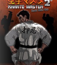 空手家2：强力一击