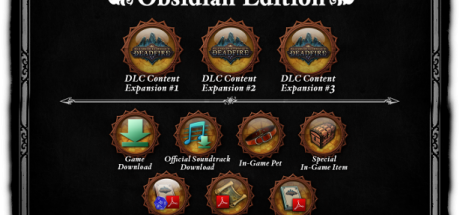 《永恒之柱2》PC版今日正式发售，包含中文