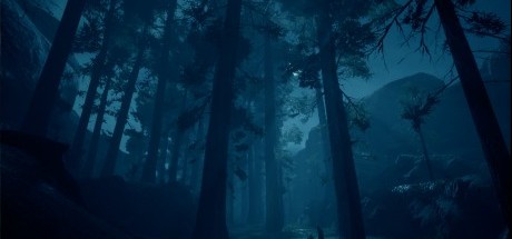 体验精神疾病，《发生了什么》评测评分汇总