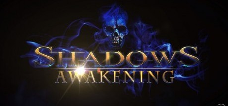 机制革新的ARPG，《暗影：觉醒》评测评分汇总