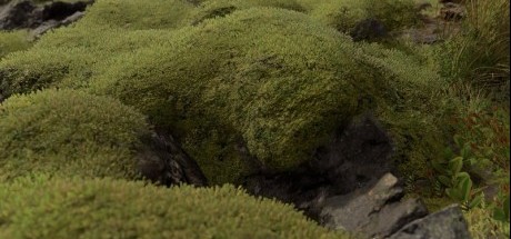 小岛秀夫公布《死亡搁浅》E3预告截图