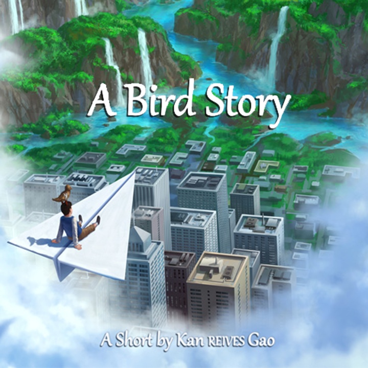 鸟的故事