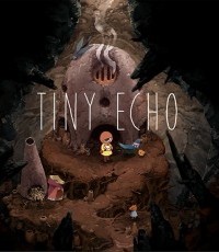 微小回声