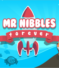 永恒的太空仓鼠