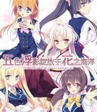 五色浮影绽放于花之海洋