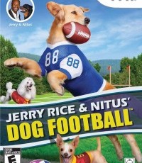 杰里赖斯和狗足球