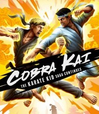 眼镜蛇 凯：空手道小子再续传奇