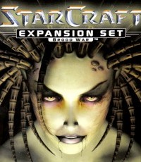 星际争霸：母巢之战