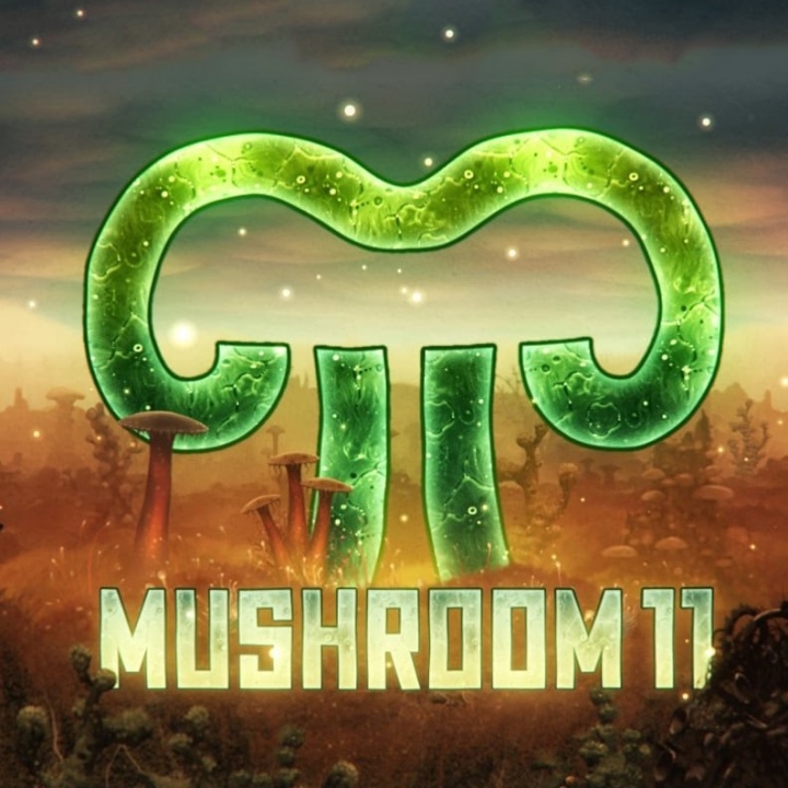 蘑菇11