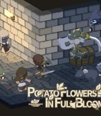 废墟上绽放的土豆花