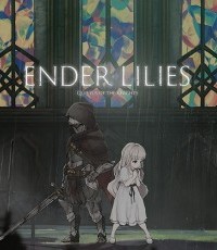 终结的百合花：骑士们的救赎