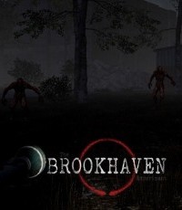 布鲁克海文实验