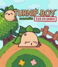 大头菜小子避税历险记