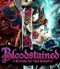 血污：夜之仪式