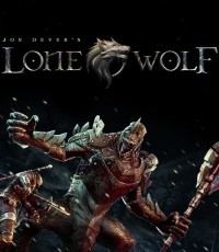 孤独的狼 主机板